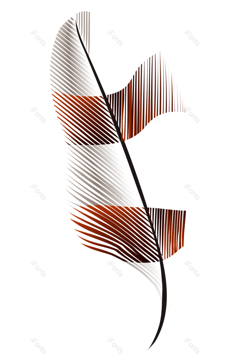 羽毛图片,元素,PNG,免抠素材
